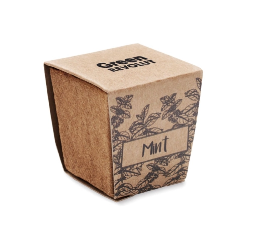 beig MINT KIT MO2410