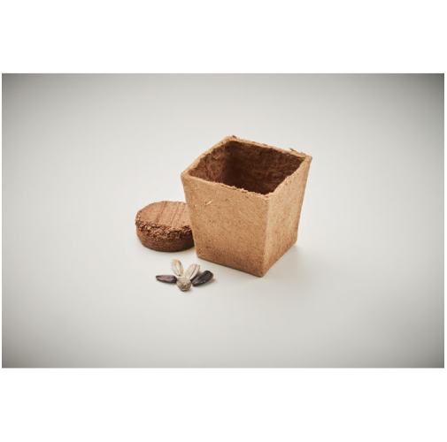 beig SUNFLOWER KIT MO2411