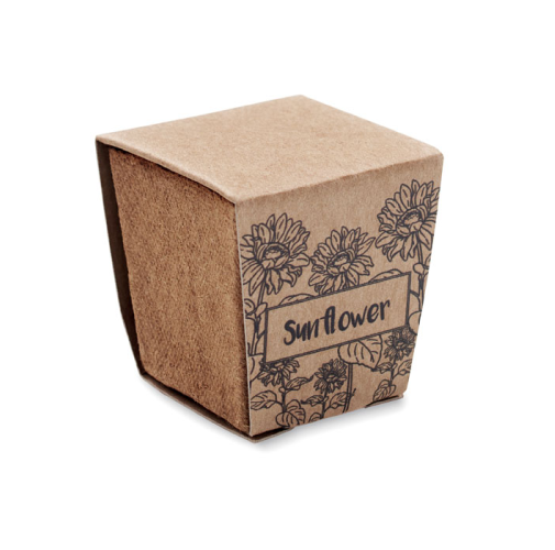 beig SUNFLOWER KIT MO2411
