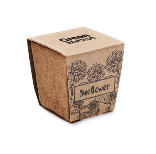 beig SUNFLOWER KIT MO2411