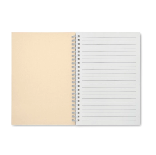 beig RECARNOTE MO2523