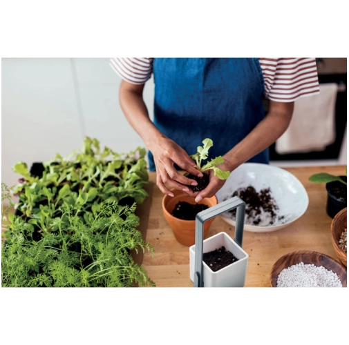 blanco LUSHLET MO2702