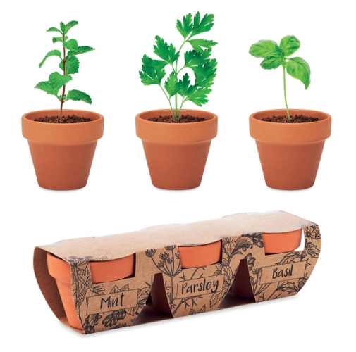 FLOWERPOT MO6145