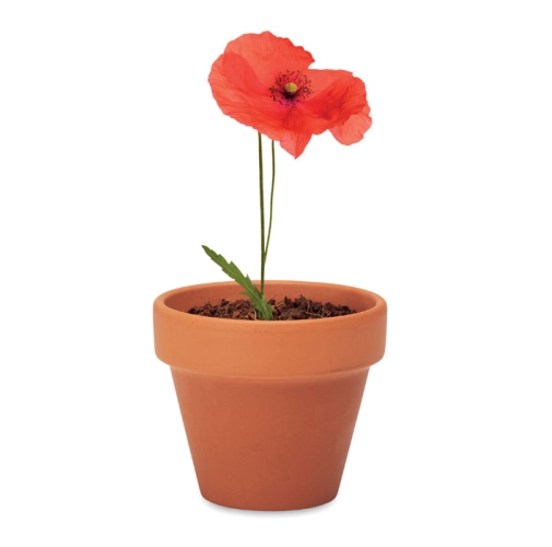 madera RED POPPY MO6148