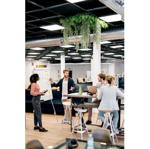 verde lima transparente GLACIER RPET MO6237