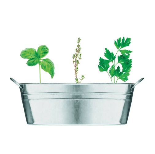 plata mate MIX SEEDS MO6497