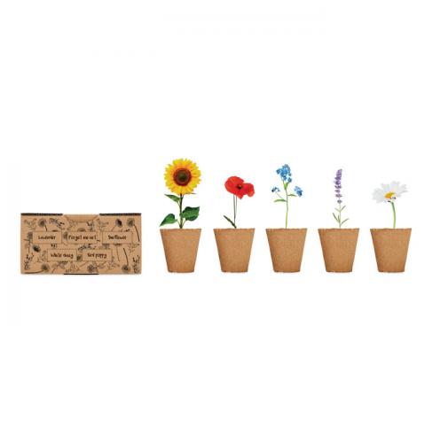 beig FLOWERS MO6500