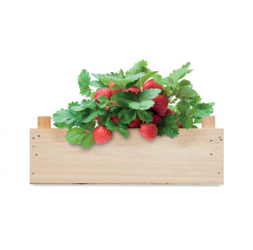 madera STRAWBERRY MO6506