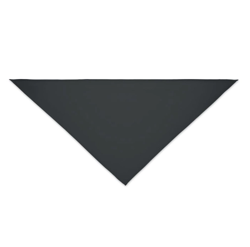 BANDANA BANDIDO MO6876