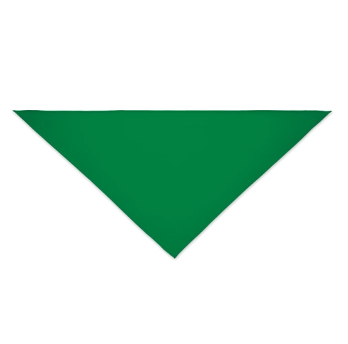 BANDANA BANDIDO MO6876