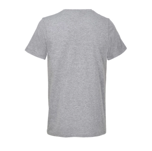 gris jaspeado REGENT V S04765