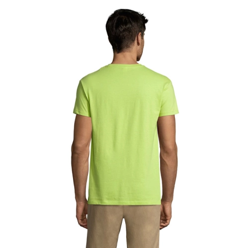 apple green REGENT S11380