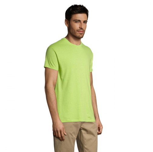 REGENT S11380