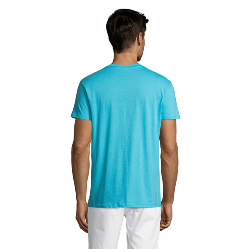 REGENT S11380