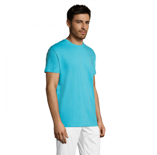 REGENT S11380