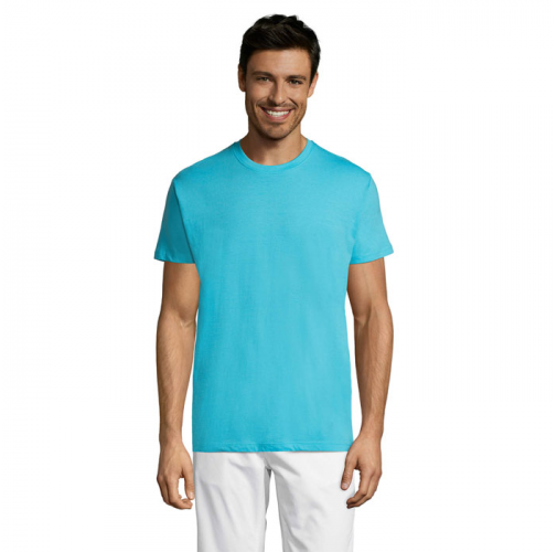 REGENT S11380