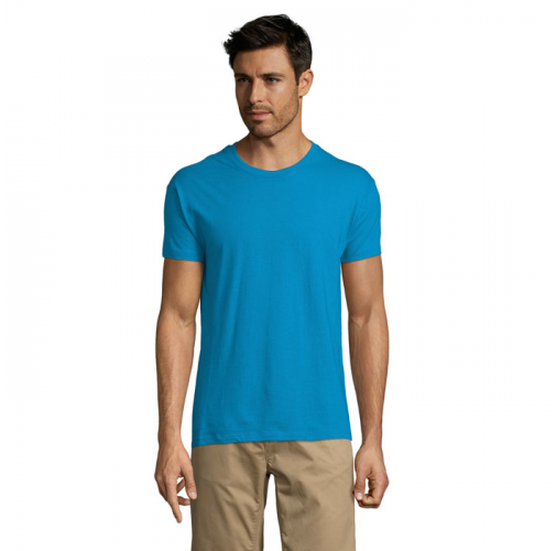 REGENT S11380