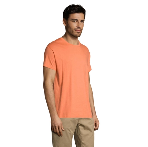 albaricoque REGENT S11380