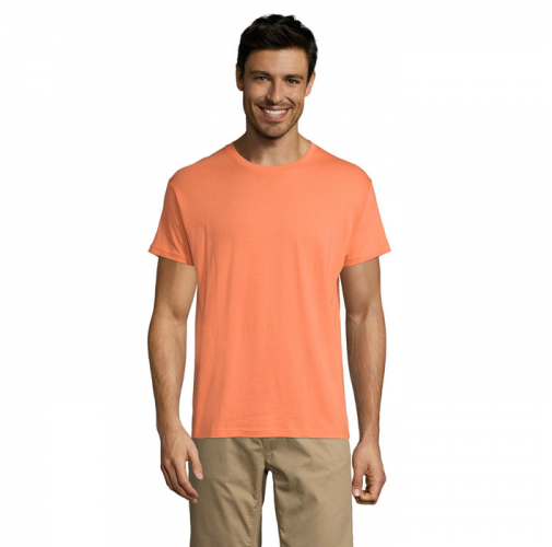 REGENT S11380
