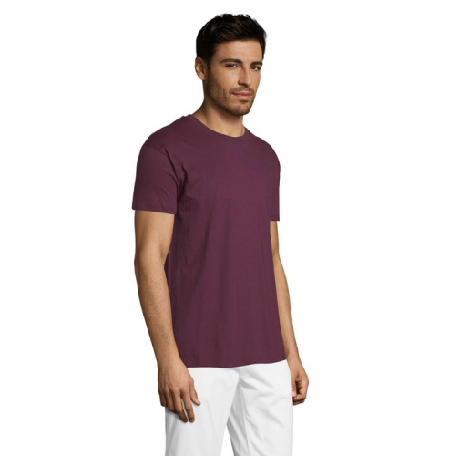 REGENT S11380