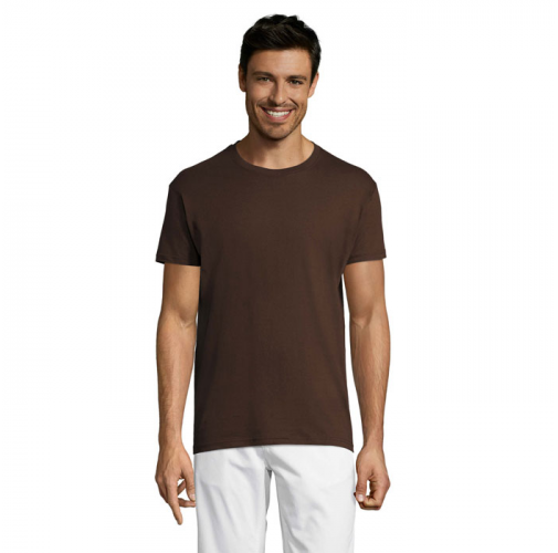 REGENT S11380