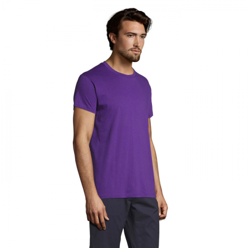 REGENT S11380