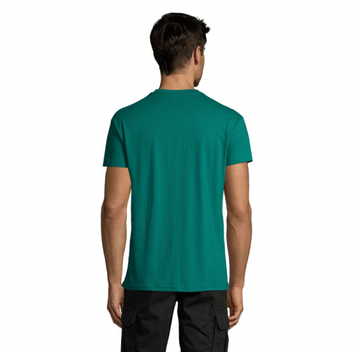 REGENT S11380