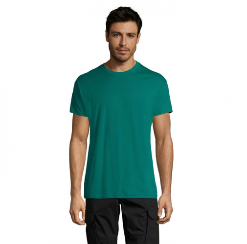 REGENT S11380