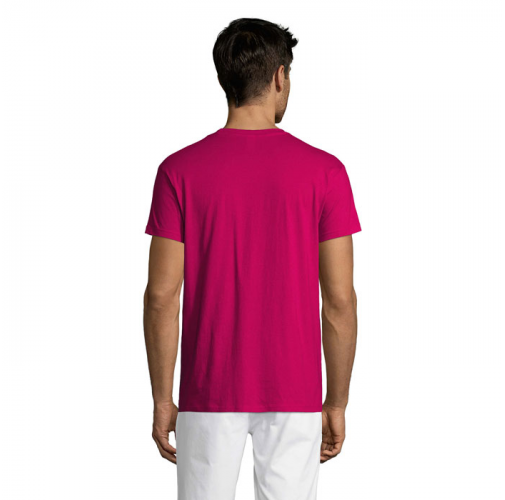 REGENT S11380