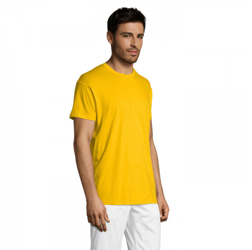 REGENT S11380
