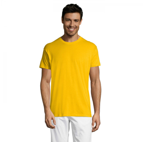 REGENT S11380