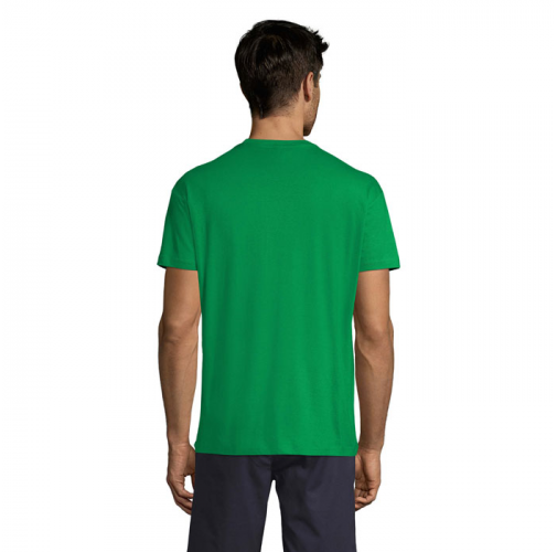 REGENT S11380
