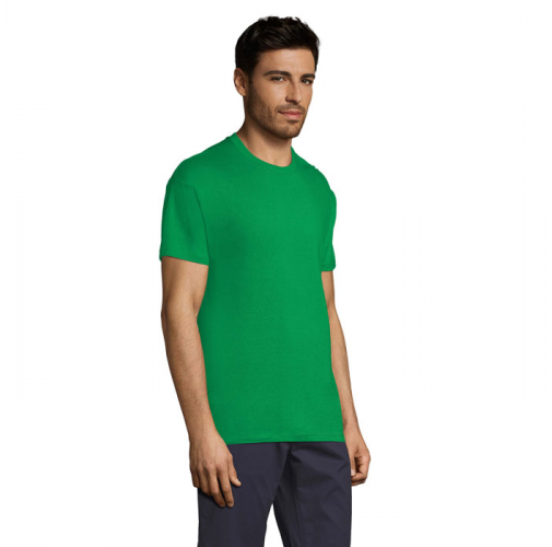 REGENT S11380