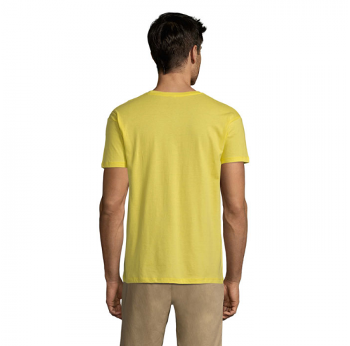 REGENT S11380