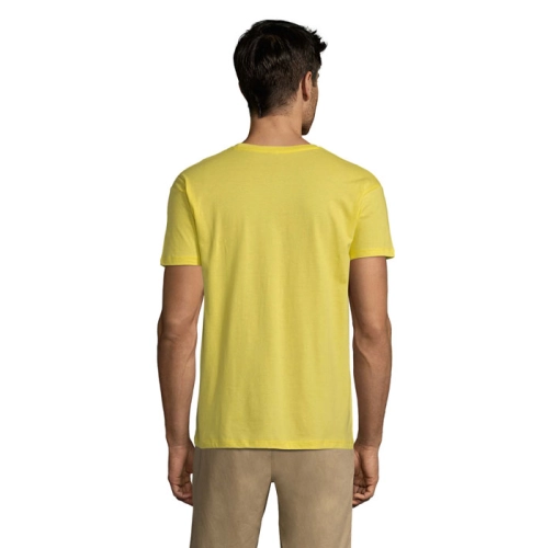 limón REGENT S11380