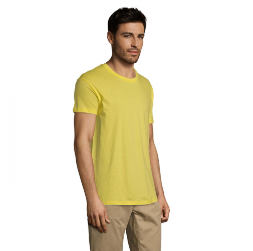 REGENT S11380