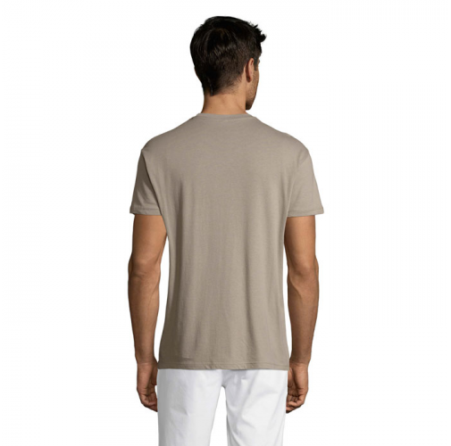 REGENT S11380