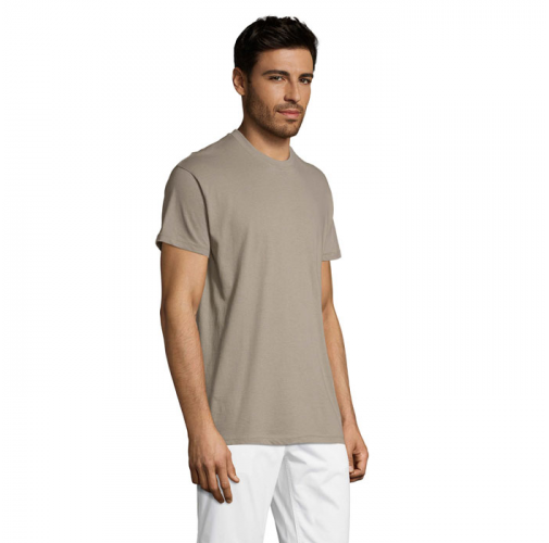 REGENT S11380