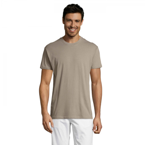REGENT S11380