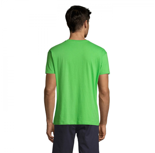 REGENT S11380