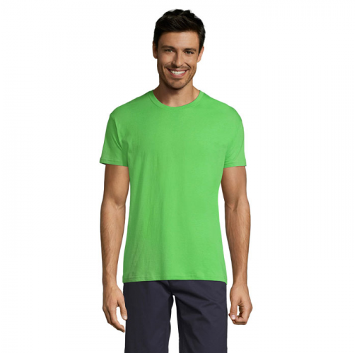 REGENT S11380