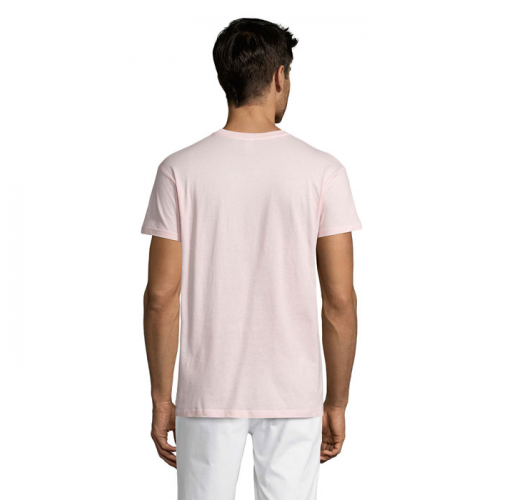 REGENT S11380