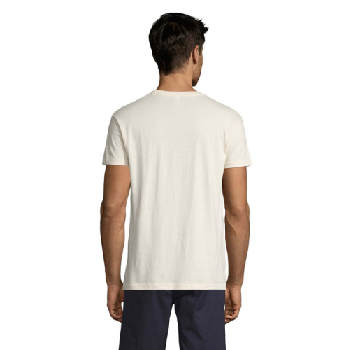 REGENT S11380