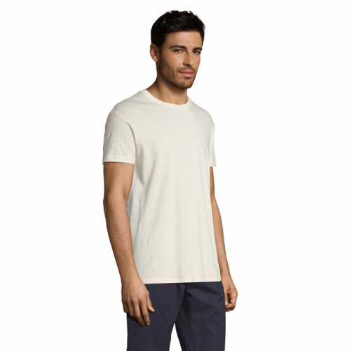 REGENT S11380