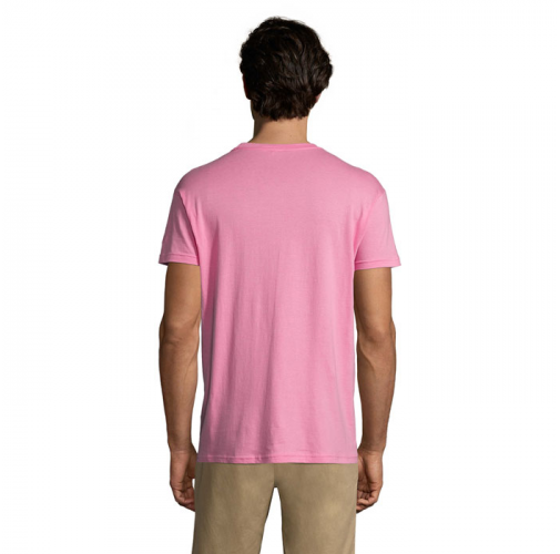 REGENT S11380