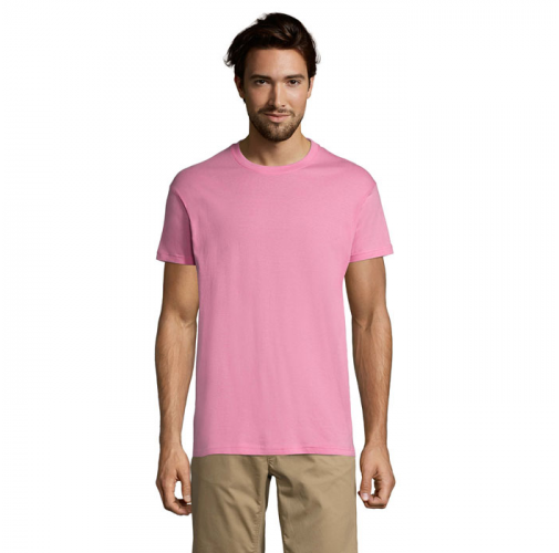 REGENT S11380