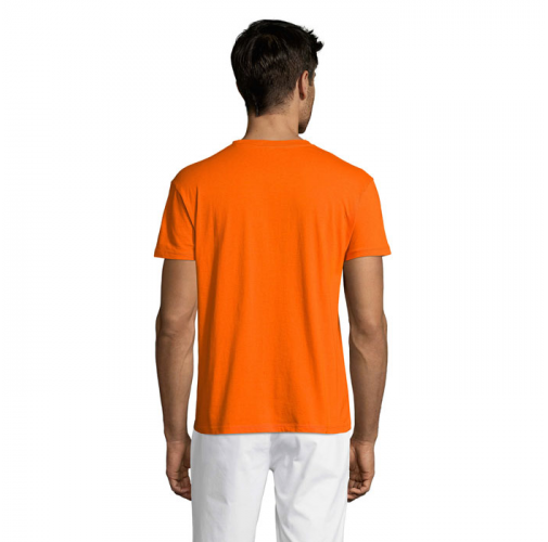 REGENT S11380