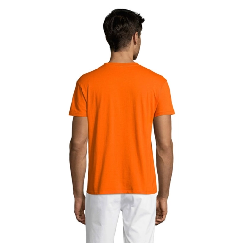 naranja REGENT S11380