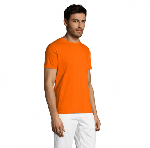 REGENT S11380