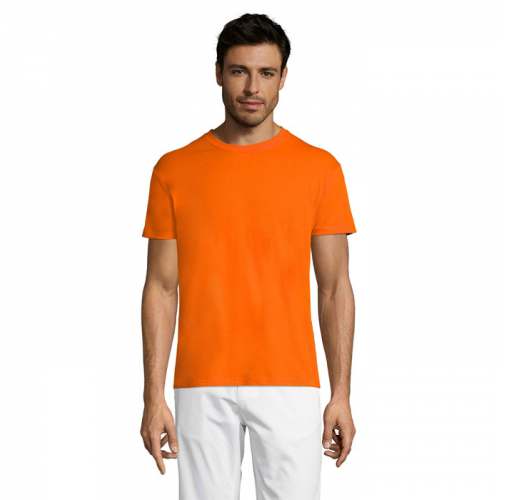 REGENT S11380